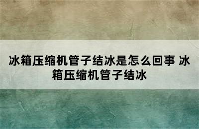 冰箱压缩机管子结冰是怎么回事 冰箱压缩机管子结冰